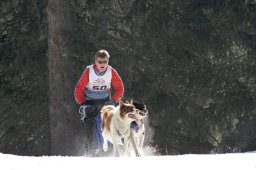 San Bernardino 2008